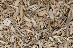 biomass boilers Tarbet